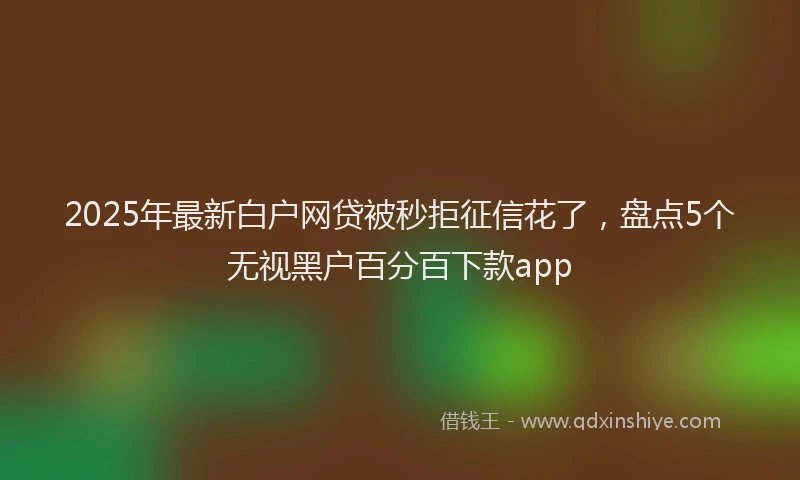 2025年最新白户网贷被秒拒征信花了，盘点5个无视黑户百分百下款app