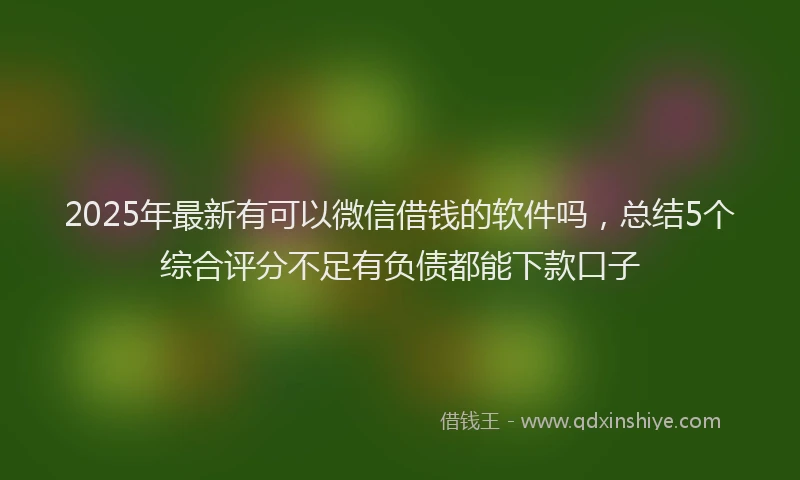 2025年最新有可以微信借钱的软件吗，总结5个综合评分不足有负债都能下款口子