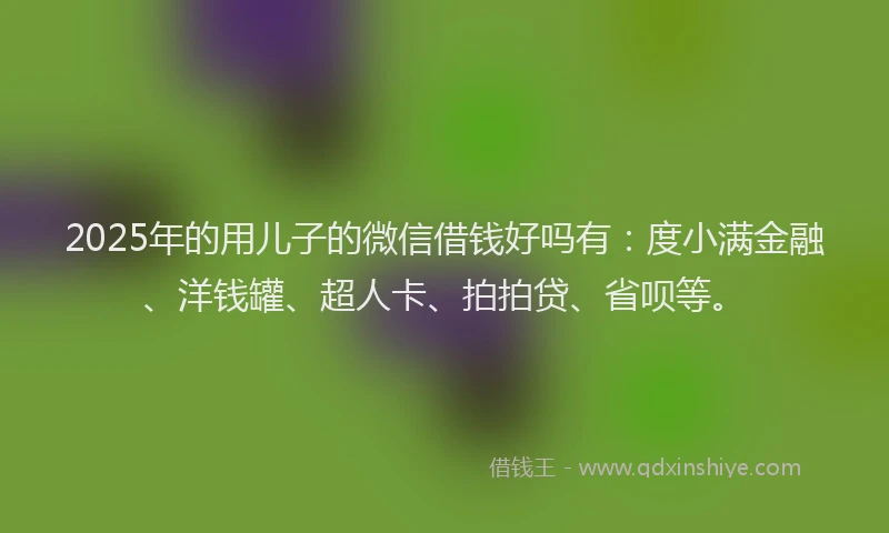 2025年的用儿子的微信借钱好吗有：度小满金融、洋钱罐、超人卡、拍拍贷、省呗等。