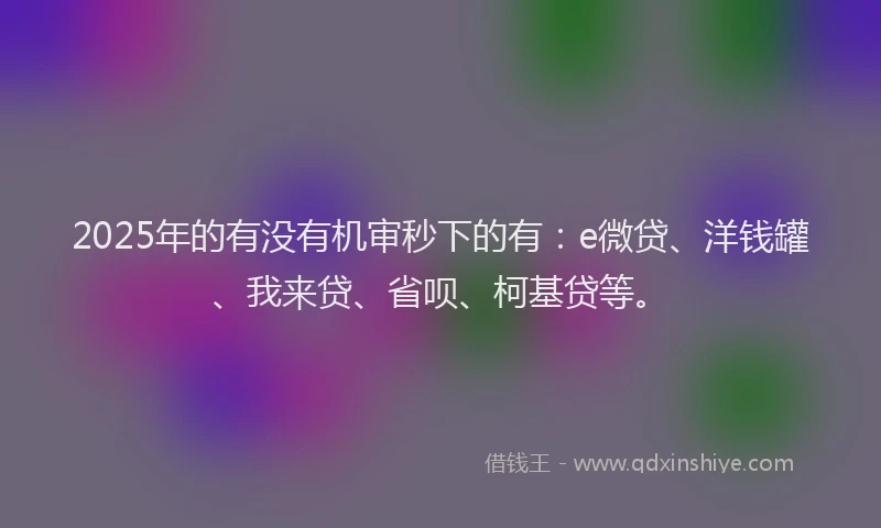 2025年的有没有机审秒下的有：e微贷、洋钱罐、我来贷、省呗、柯基贷等。