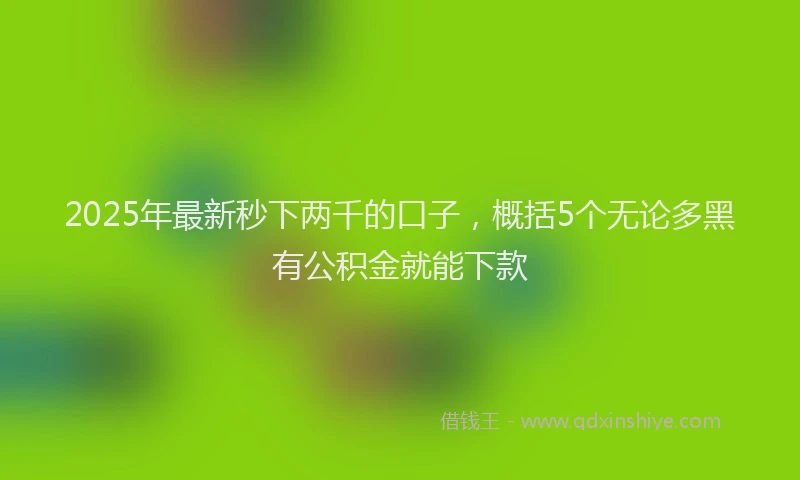 2025年最新秒下两千的口子，概括5个无论多黑有公积金就能下款