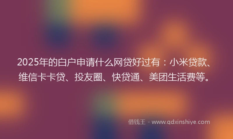 2025年的白户申请什么网贷好过有：小米贷款、维信卡卡贷、投友圈、快贷通、美团生活费等。