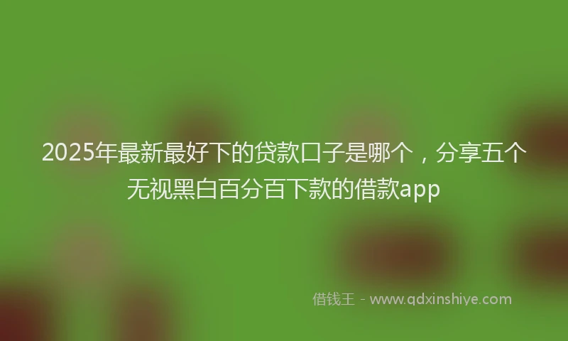 2025年最新最好下的贷款口子是哪个，分享五个无视黑白百分百下款的借款app