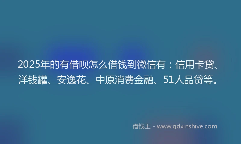 2025年的有借呗怎么借钱到微信有：信用卡贷、洋钱罐、安逸花、中原消费金融、51人品贷等。
