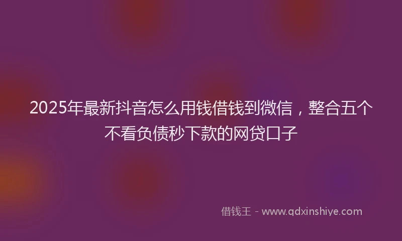 2025年最新抖音怎么用钱借钱到微信，整合五个不看负债秒下款的网贷口子