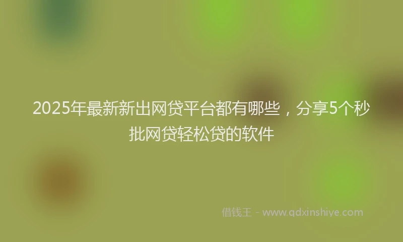 2025年最新新出网贷平台都有哪些，分享5个秒批网贷轻松贷的软件
