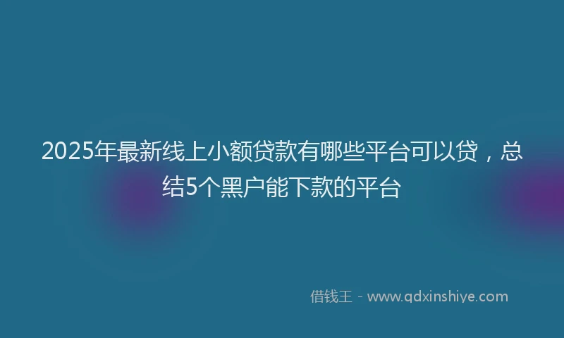 2025年最新线上小额贷款有哪些平台可以贷，总结5个黑户能下款的平台