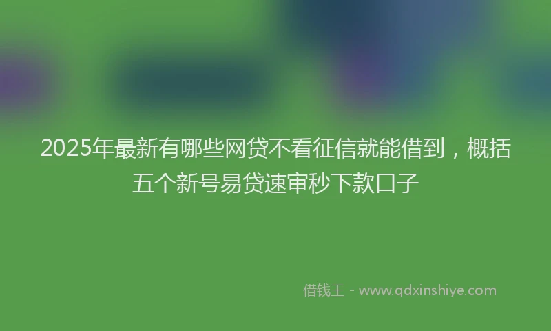 2025年最新有哪些网贷不看征信就能借到，概括五个新号易贷速审秒下款口子
