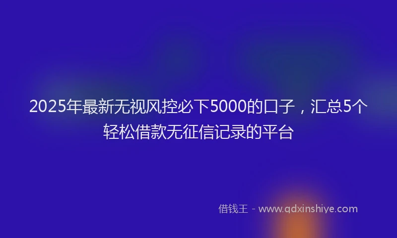 2025年最新无视风控必下5000的口子，汇总5个轻松借款无征信记录的平台