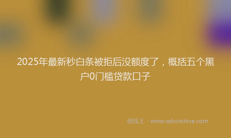 2025年最新秒白条被拒后没额度了，概括五个黑户0门槛贷款口子