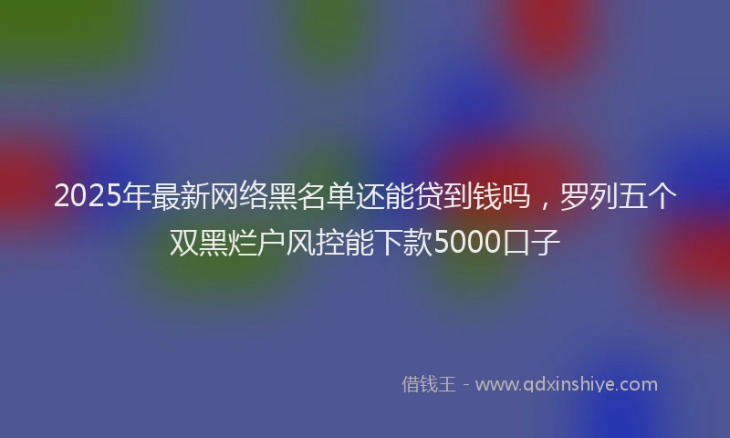 2025年最新网络黑名单还能贷到钱吗，罗列五个双黑烂户风控能下款5000口子