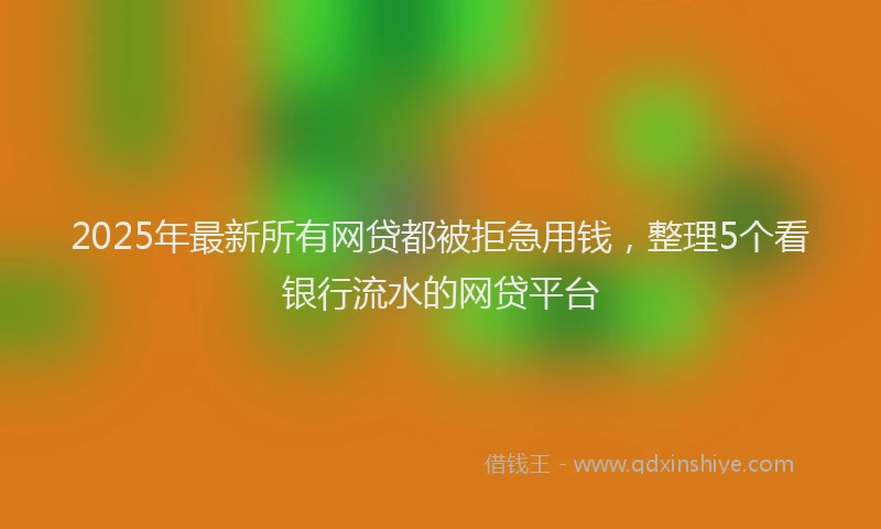 2025年最新所有网贷都被拒急用钱，整理5个看银行流水的网贷平台