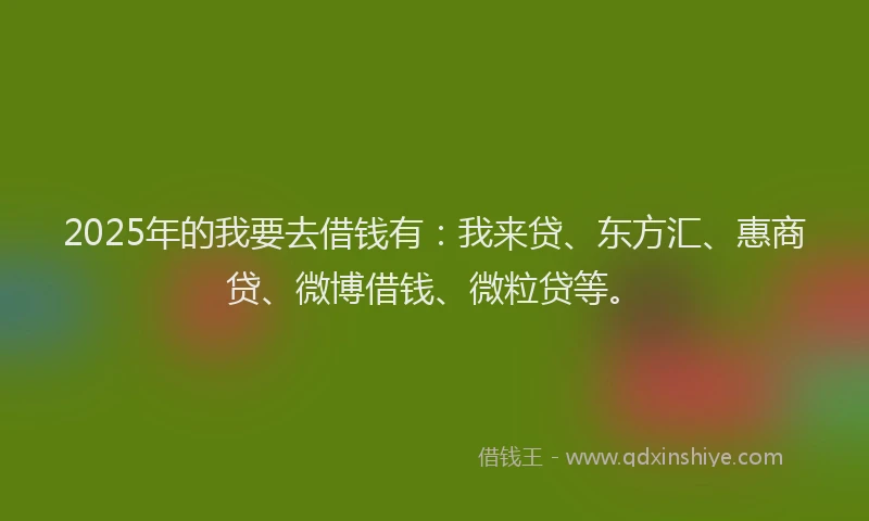 2025年的我要去借钱有：我来贷、东方汇、惠商贷、微博借钱、微粒贷等。
