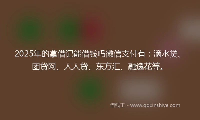2025年的拿借记能借钱吗微信支付有：滴水贷、团贷网、人人贷、东方汇、融逸花等。