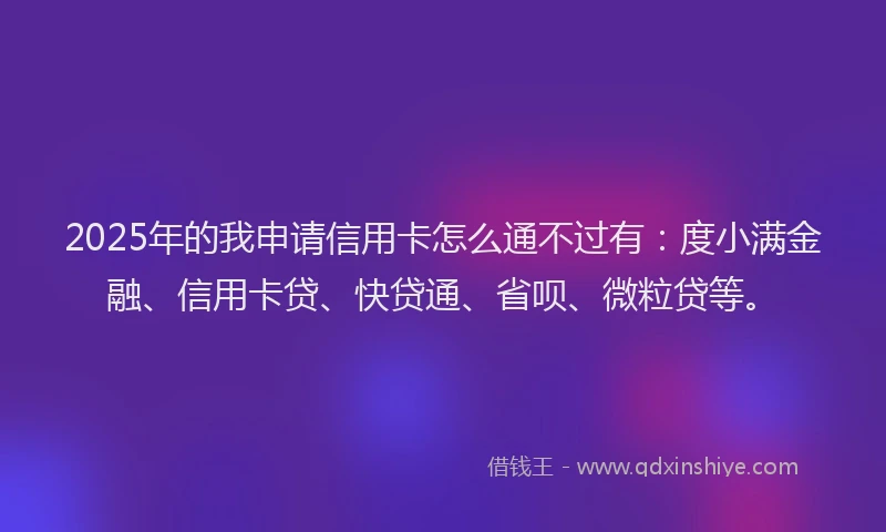 2025年的我申请信用卡怎么通不过有：度小满金融、信用卡贷、快贷通、省呗、微粒贷等。