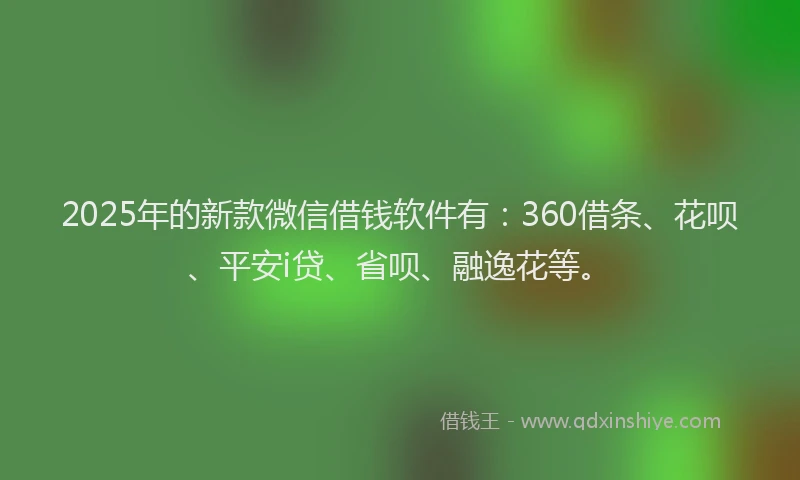 2025年的新款微信借钱软件有：360借条、花呗、平安i贷、省呗、融逸花等。