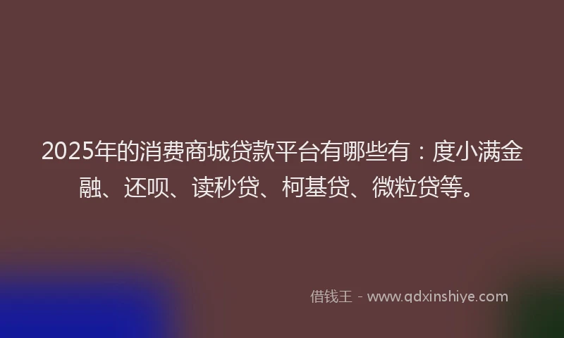 2025年的消费商城贷款平台有哪些有：度小满金融、还呗、读秒贷、柯基贷、微粒贷等。