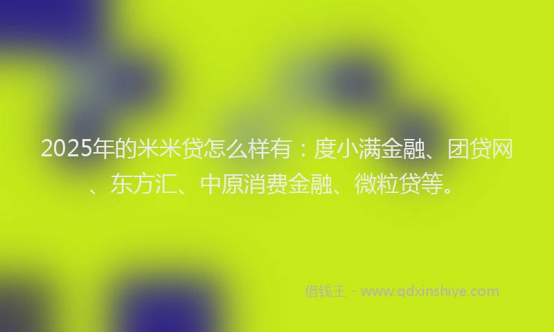 2025年的米米贷怎么样有：度小满金融、团贷网、东方汇、中原消费金融、微粒贷等。