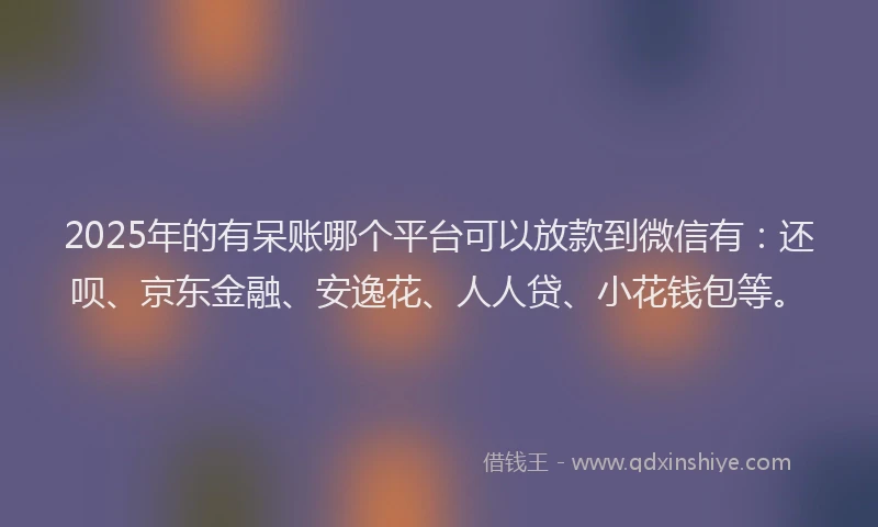 2025年的有呆账哪个平台可以放款到微信有：还呗、京东金融、安逸花、人人贷、小花钱包等。