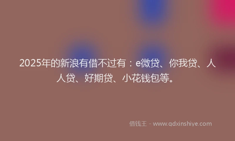 2025年的新浪有借不过有：e微贷、你我贷、人人贷、好期贷、小花钱包等。
