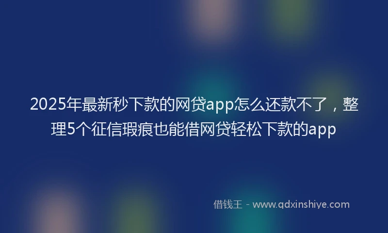2025年最新秒下款的网贷app怎么还款不了，整理5个征信瑕疵也能借网贷轻松下款的app