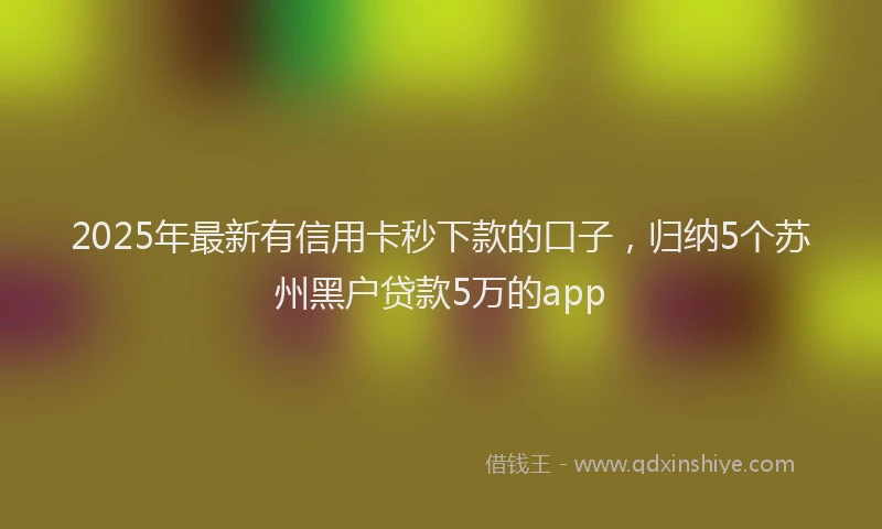 2025年最新有信用卡秒下款的口子，归纳5个苏州黑户贷款5万的app