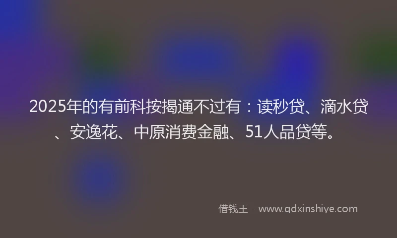 2025年的有前科按揭通不过有：读秒贷、滴水贷、安逸花、中原消费金融、51人品贷等。