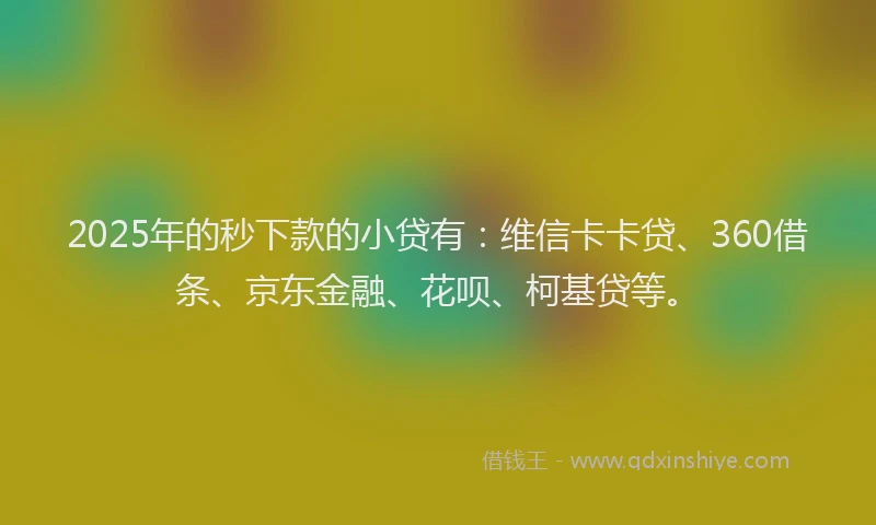 2025年的秒下款的小贷有：维信卡卡贷、360借条、京东金融、花呗、柯基贷等。