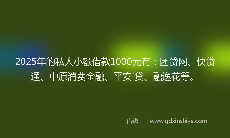 2025年的私人小额借款1000元有：团贷网、快贷通、中原消费金融、平安i贷、融逸花等。