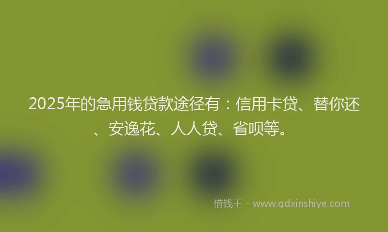 2025年的急用钱贷款途径有：信用卡贷、替你还、安逸花、人人贷、省呗等。