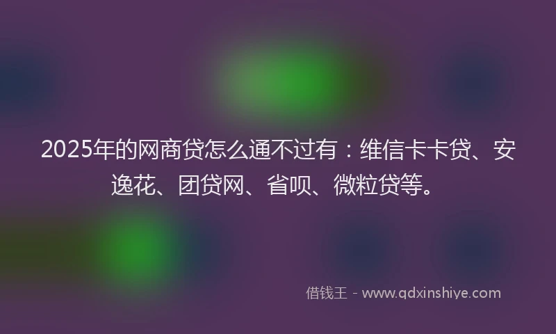 2025年的网商贷怎么通不过有：维信卡卡贷、安逸花、团贷网、省呗、微粒贷等。