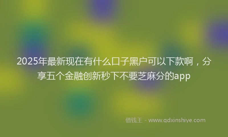 2025年最新现在有什么口子黑户可以下款啊，分享五个金融创新秒下不要芝麻分的app