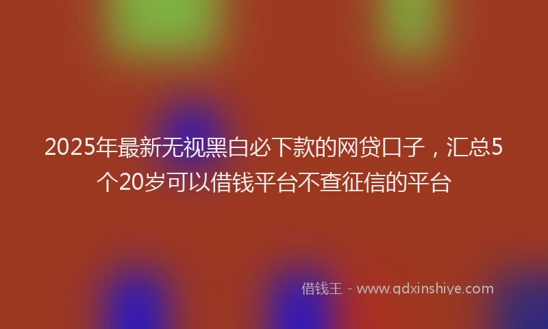 2025年最新无视黑白必下款的网贷口子，汇总5个20岁可以借钱平台不查征信的平台