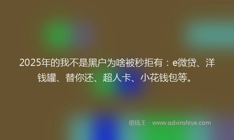 2025年的我不是黑户为啥被秒拒有：e微贷、洋钱罐、替你还、超人卡、小花钱包等。