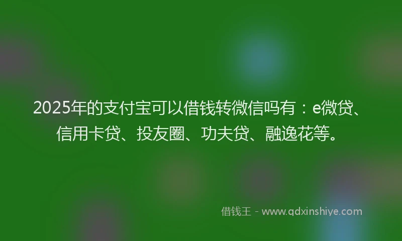 2025年的支付宝可以借钱转微信吗有：e微贷、信用卡贷、投友圈、功夫贷、融逸花等。