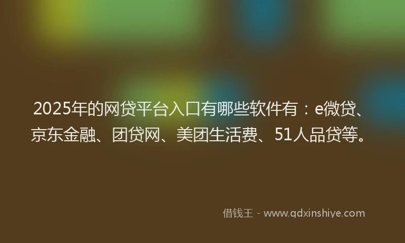 2025年的网贷平台入口有哪些软件有：e微贷、京东金融、团贷网、美团生活费、51人品贷等。
