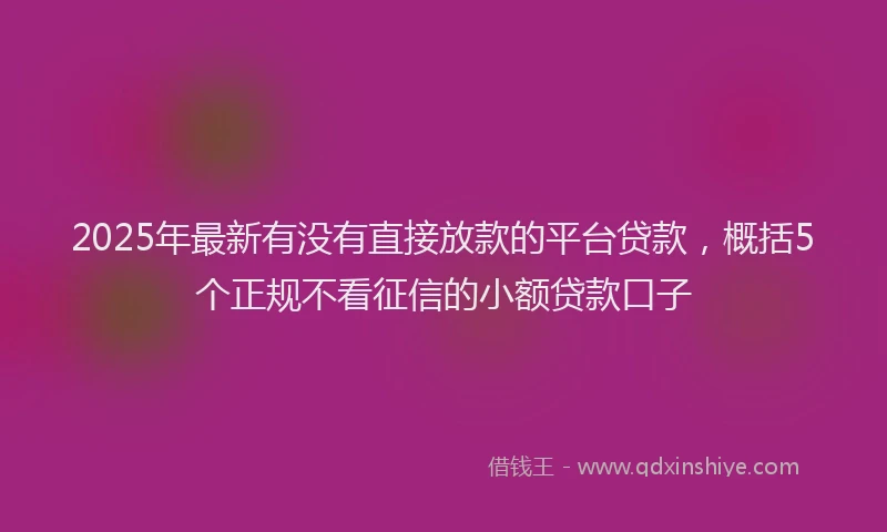 2025年最新有没有直接放款的平台贷款，概括5个正规不看征信的小额贷款口子