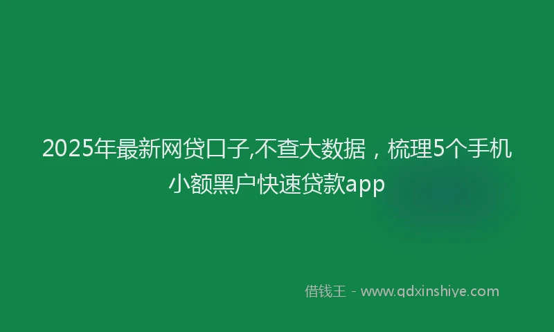 2025年最新网贷口子,不查大数据，梳理5个手机小额黑户快速贷款app