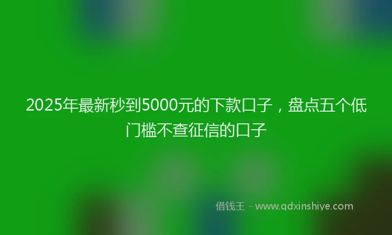 2025年最新秒到5000元的下款口子,盘点五个低门槛不查征信的口子