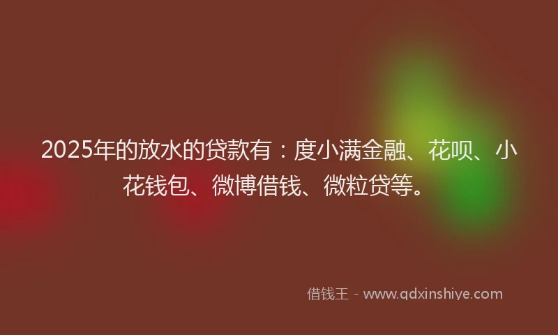 2025年的放水的贷款有：度小满金融、花呗、小花钱包、微博借钱、微粒贷等。