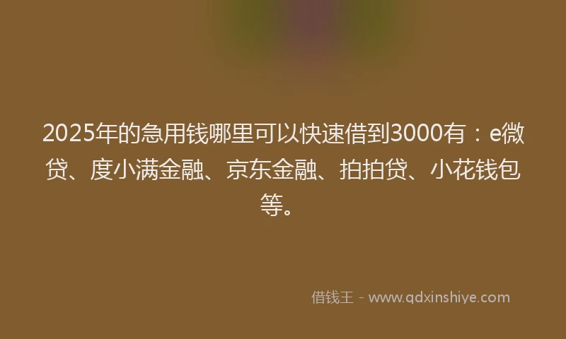 2025年的急用钱哪里可以快速借到3000有：e微贷、度小满金融、京东金融、拍拍贷、小花钱包等。