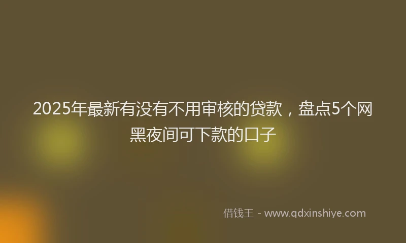 2025年最新有没有不用审核的贷款，盘点5个网黑夜间可下款的口子