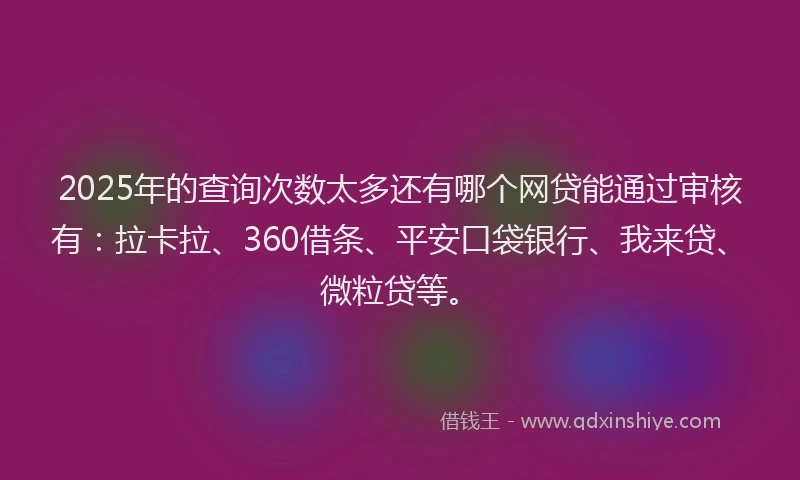 2025年的查询次数太多还有哪个网贷能通过审核有：拉卡拉、360借条、平安口袋银行、我来贷、微粒贷等。