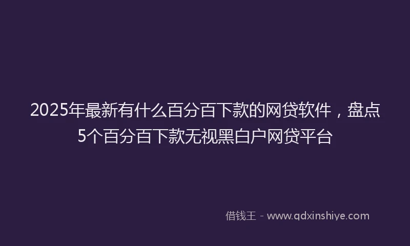 2025年最新有什么百分百下款的网贷软件，盘点5个百分百下款无视黑白户网贷平台