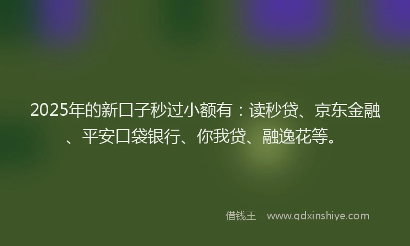 2025年的新口子秒过小额有：读秒贷、京东金融、平安口袋银行、你我贷、融逸花等。
