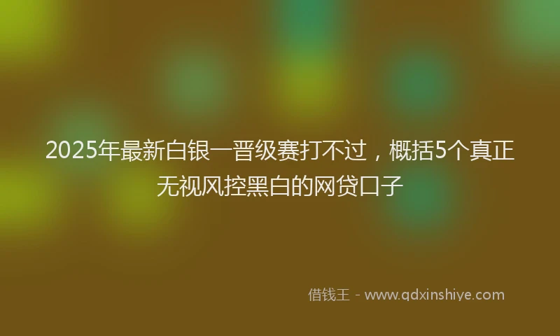 2025年最新白银一晋级赛打不过，概括5个真正无视风控黑白的网贷口子