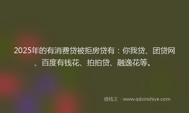 2025年的有消费贷被拒房贷有：你我贷、团贷网、百度有钱花、拍拍贷、融逸花等。
