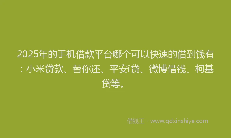 2025年的手机借款平台哪个可以快速的借到钱有：小米贷款、替你还、平安i贷、微博借钱、柯基贷等。