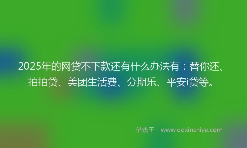2025年的网贷不下款还有什么办法有：替你还、拍拍贷、美团生活费、分期乐、平安i贷等。