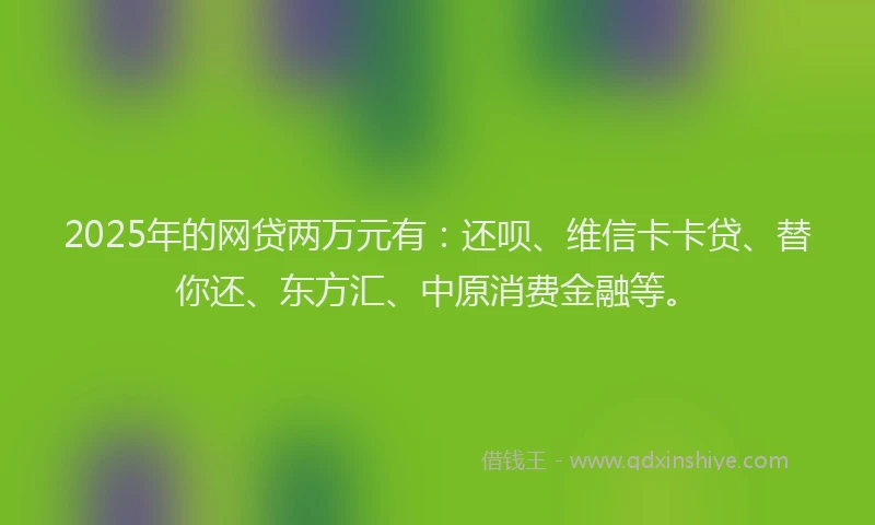 2025年的网贷两万元有：还呗、维信卡卡贷、替你还、东方汇、中原消费金融等。